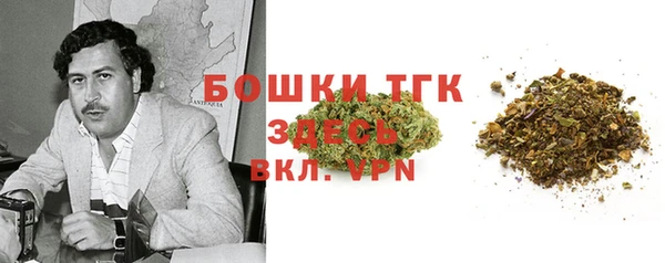 гашик Богородицк