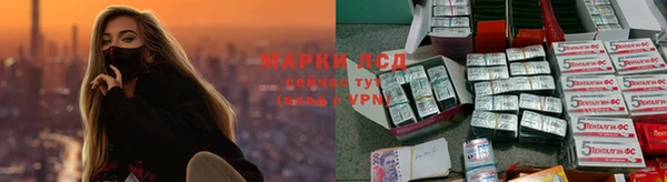гидропоника Богородск