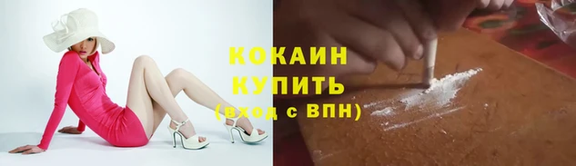 гашик Богородицк