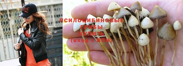 тгк Богданович