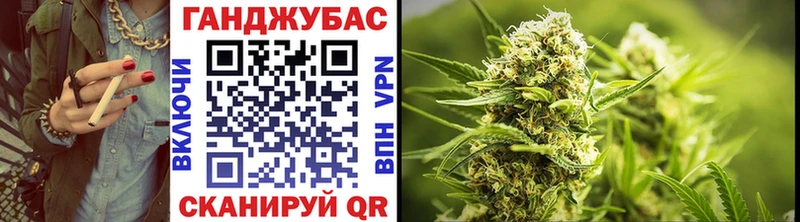 Купить  Курчатов  Бошки марихуана Amnesia 